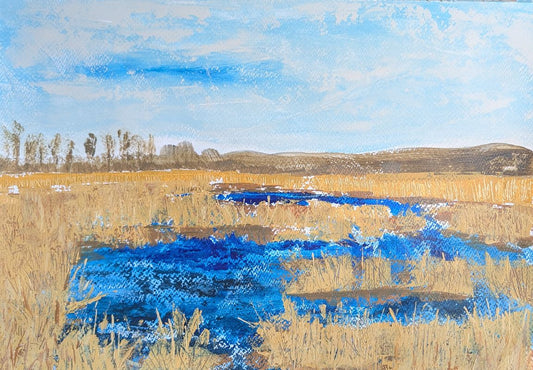 Across the reeds — Faith Hesselmann